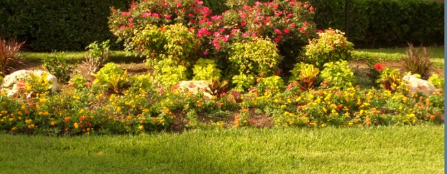 Building Photo - 1101 Calico Ln