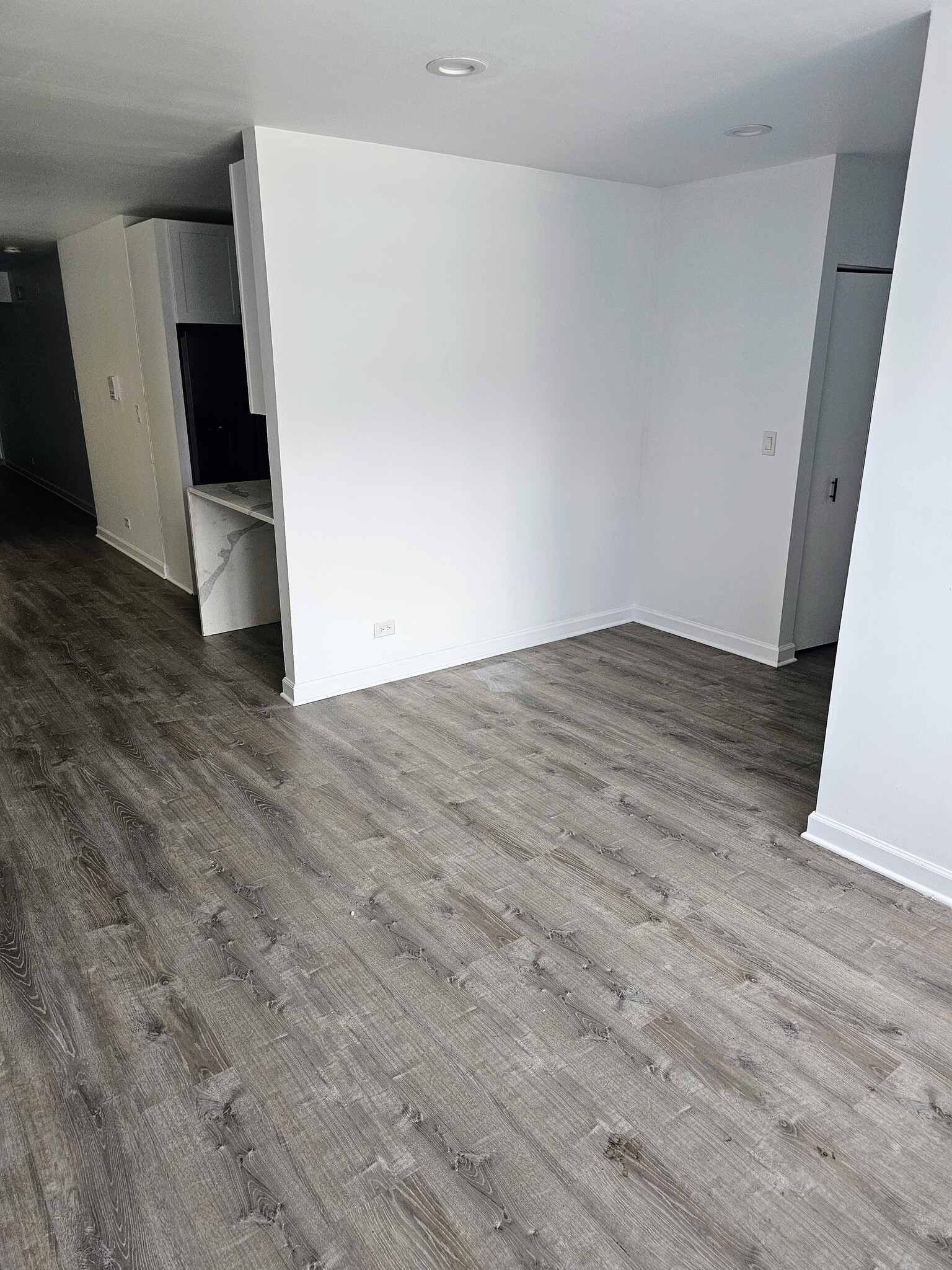 Living/Dining room area - 3720 S Calumet Ave