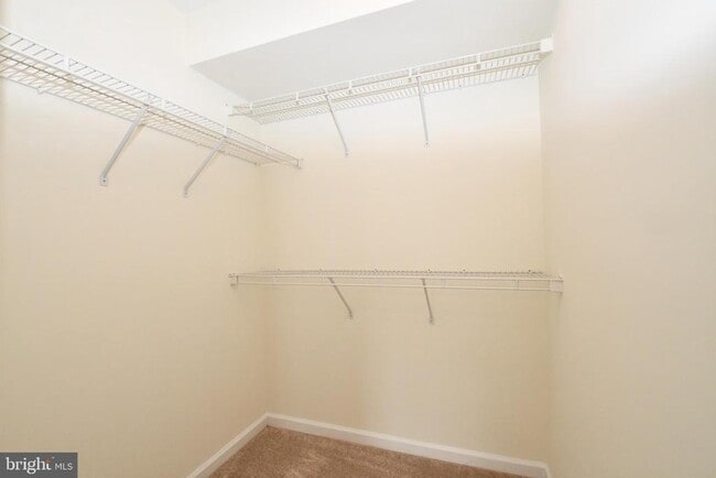 Building Photo - 7514 Snowpea Ct