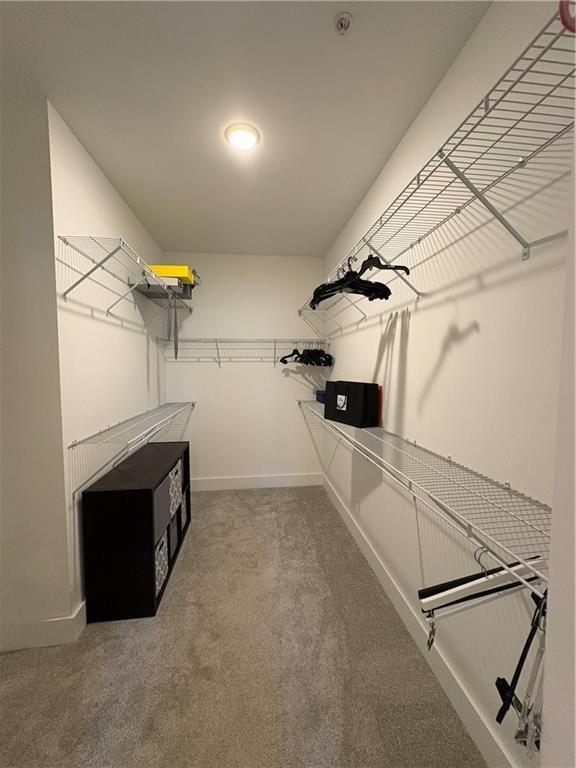 Building Photo - 2523 Oakbourne Ln