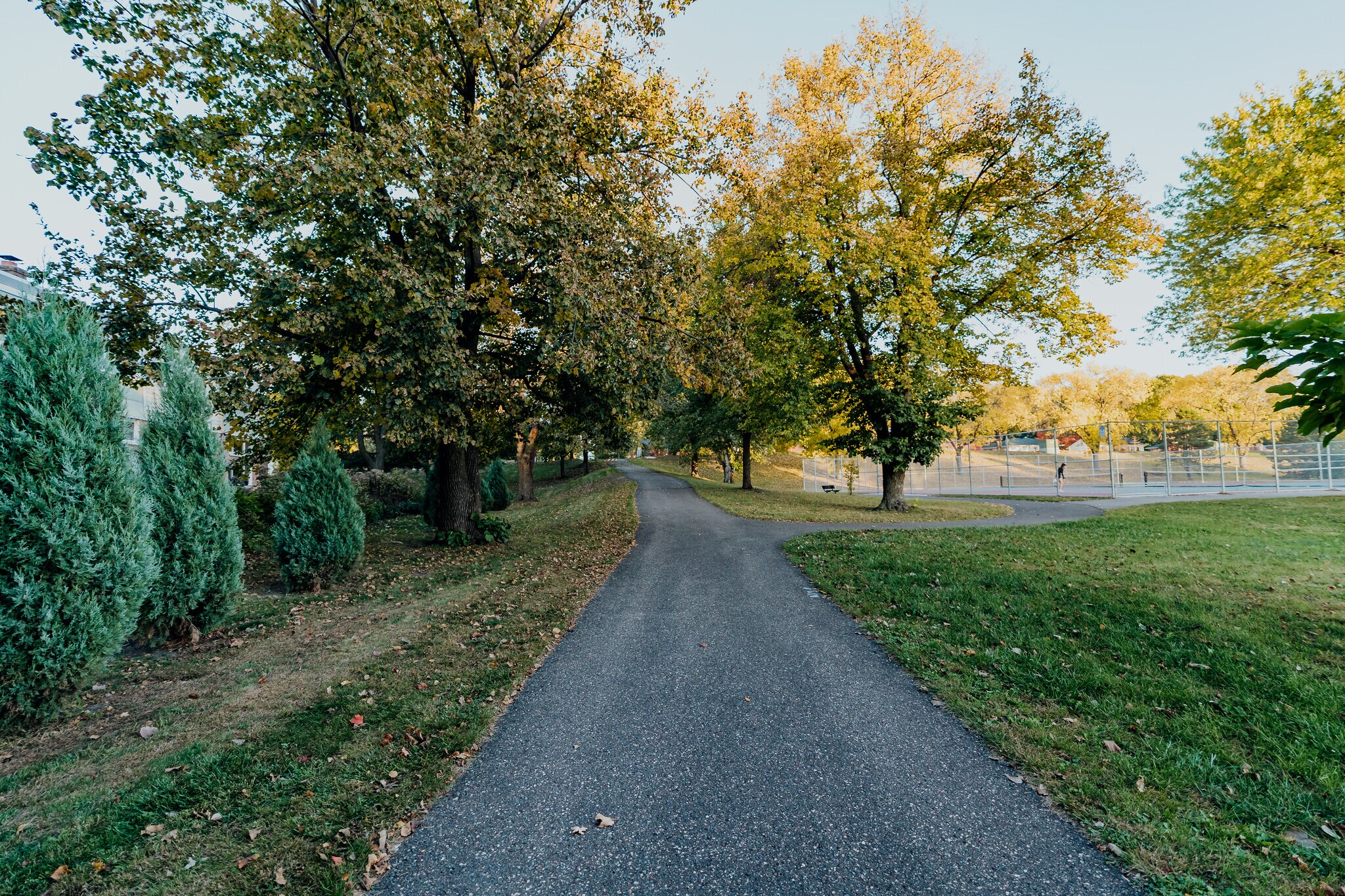 Building Photo - 2042 Louisiana Ave S