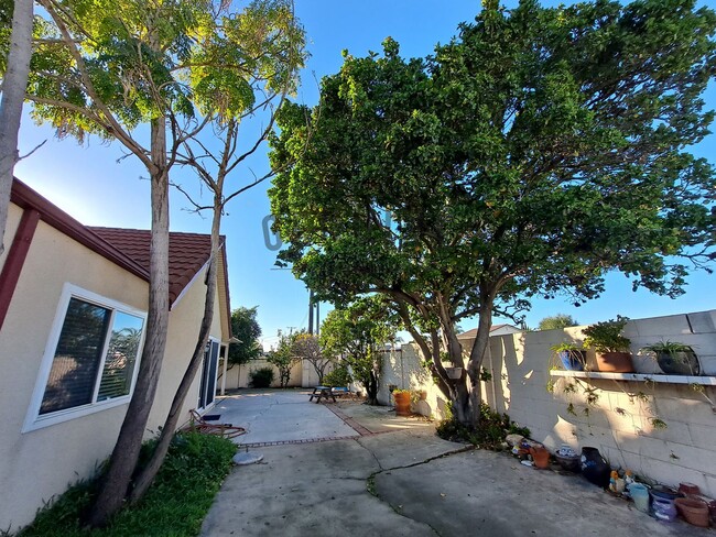 Building Photo - Coming Soon: 3Bd 2Ba Home in Mesa Verde