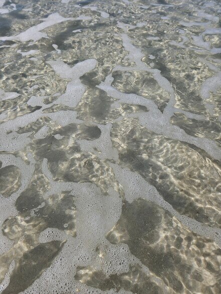 Building Photo - 208 Marlberry Trce