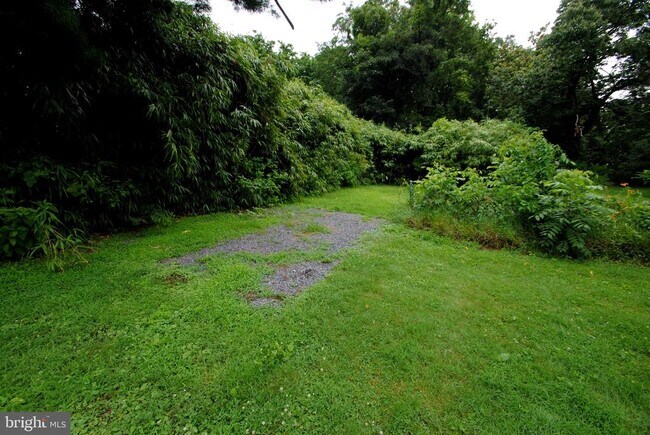 Building Photo - 217 Wood St