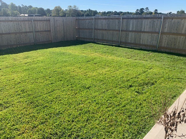 Building Photo - 203 Comal Dr