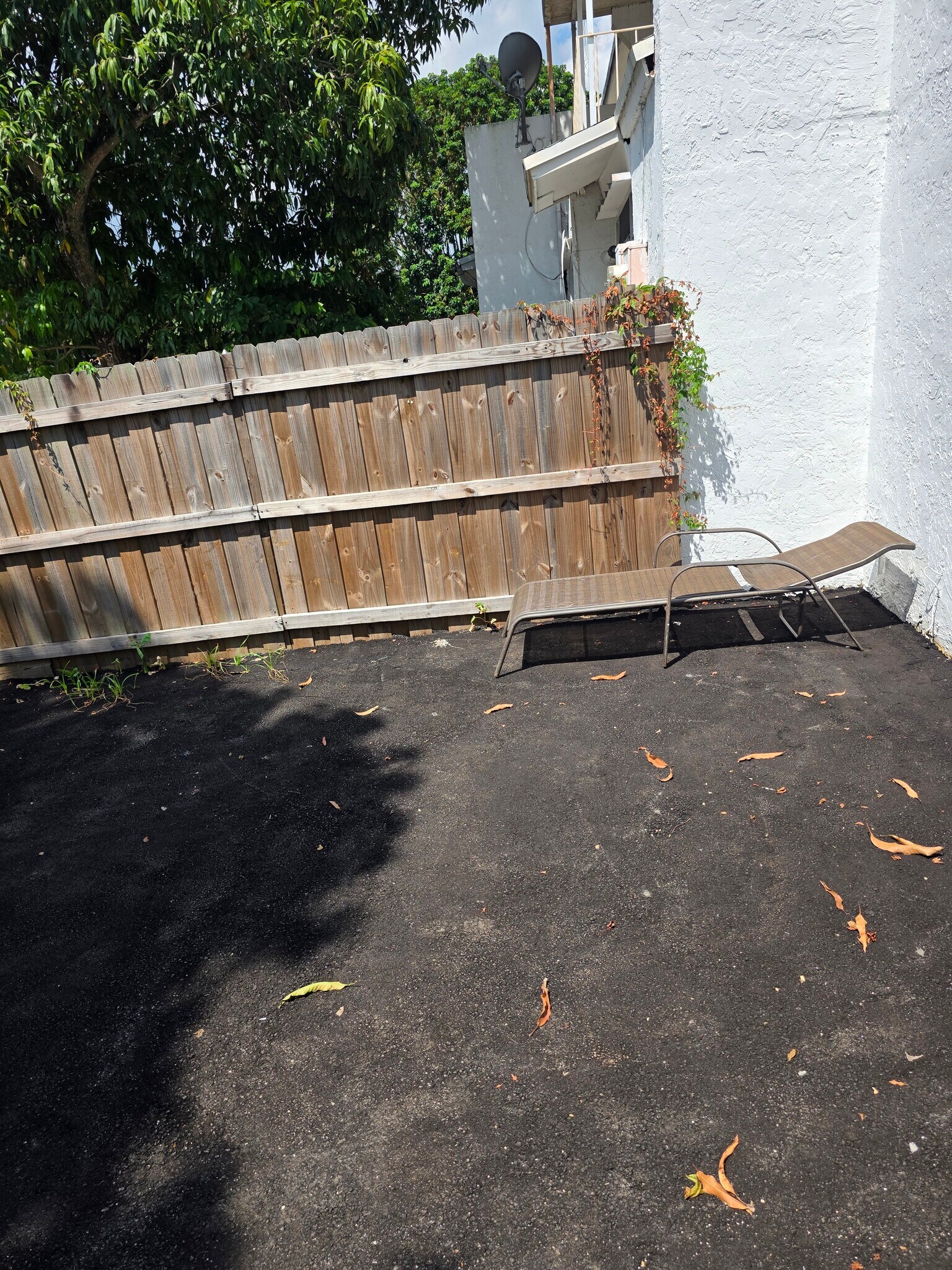 Backyard - 1206 Seaview