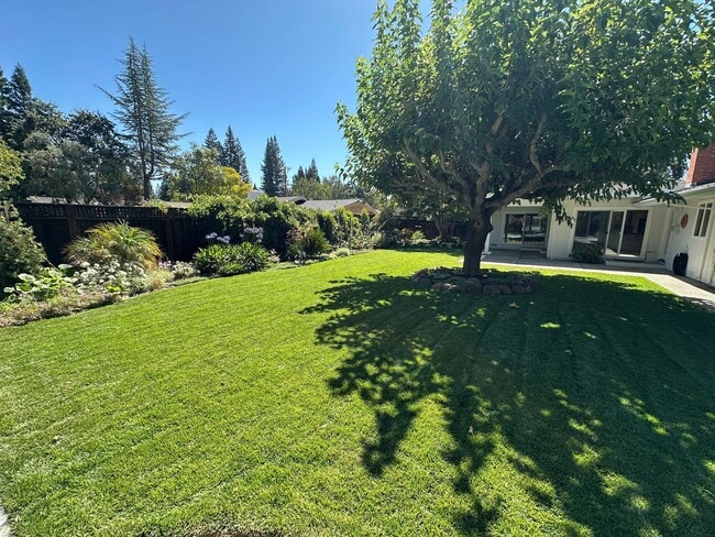 Building Photo - 5 Bed 3 Bath In Alamo W/ Pool