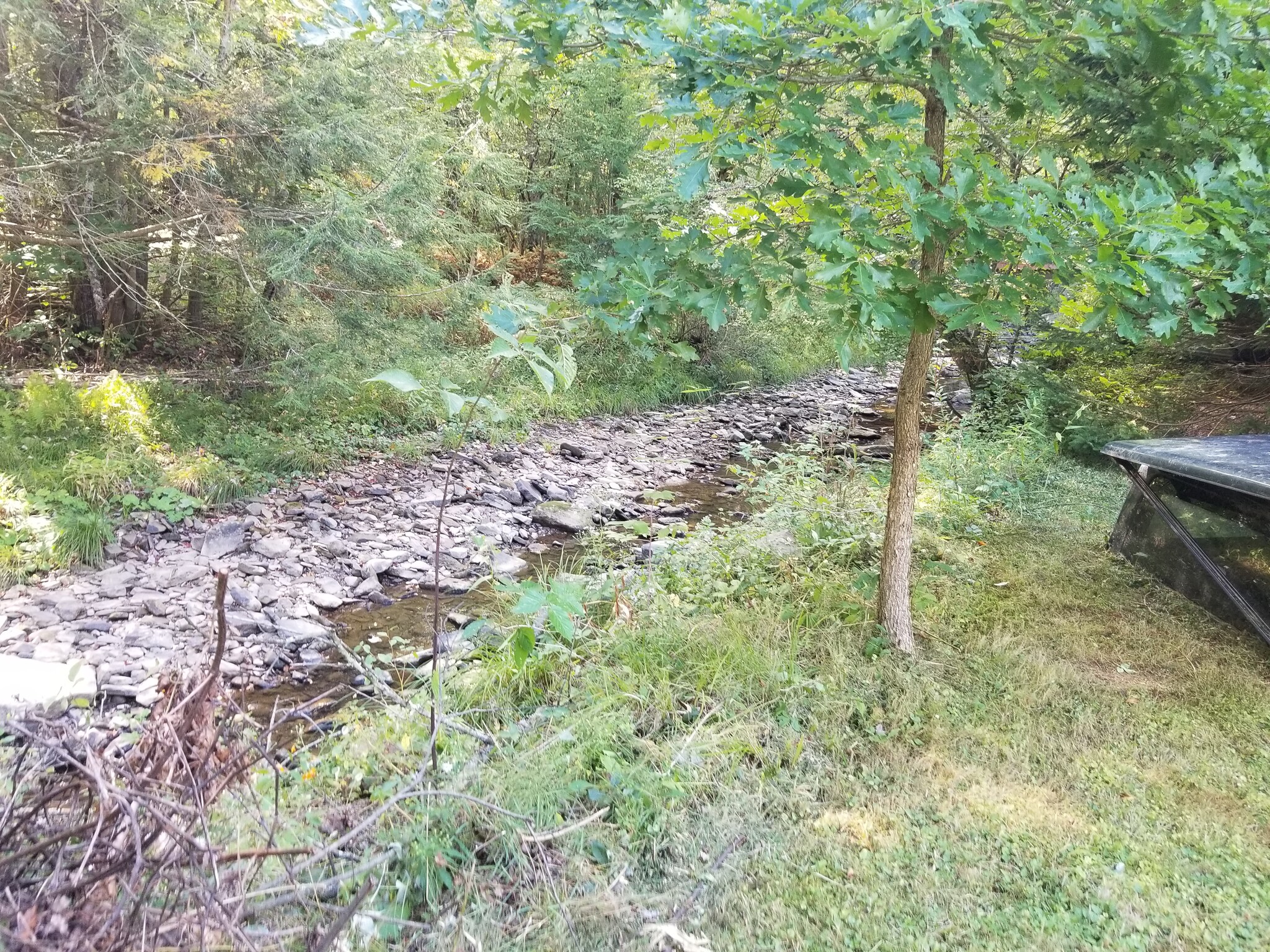 Creek in Backyard - 1347 Mead Run Rd