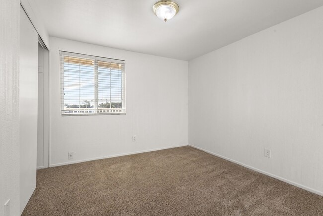 Building Photo - 533 Hibiscus Ct