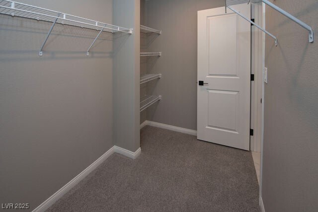 Building Photo - 4694 Mystic Quartz Ct