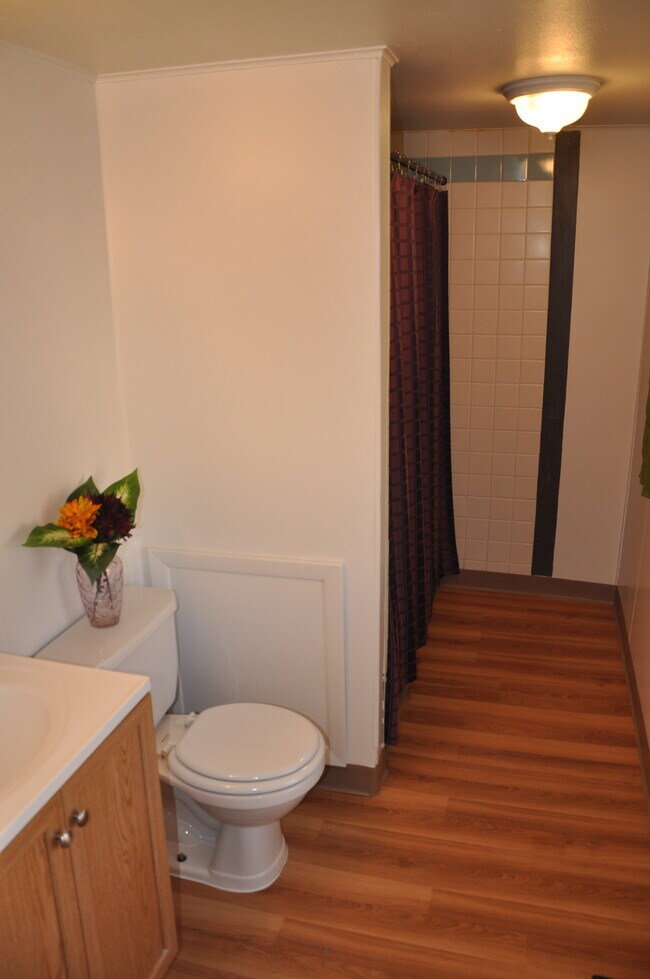 Bathroom view 2 - 118 3rd St