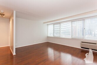 Building Photo - 1 bedroom in Chicago IL 60611