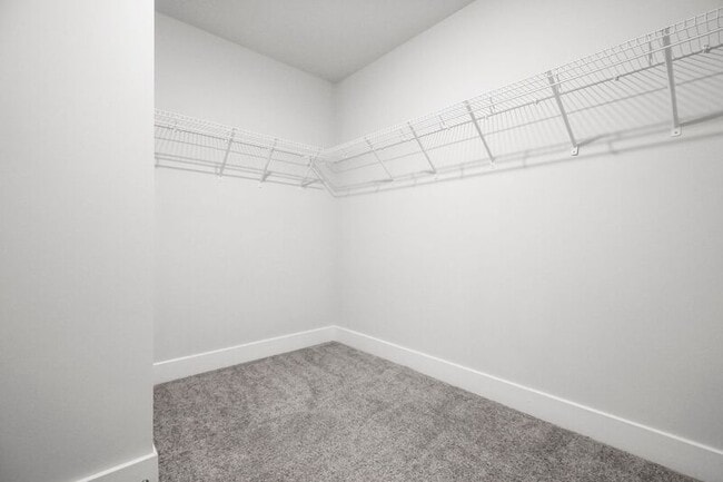 Building Photo - 11802 Wilderness Park Dr