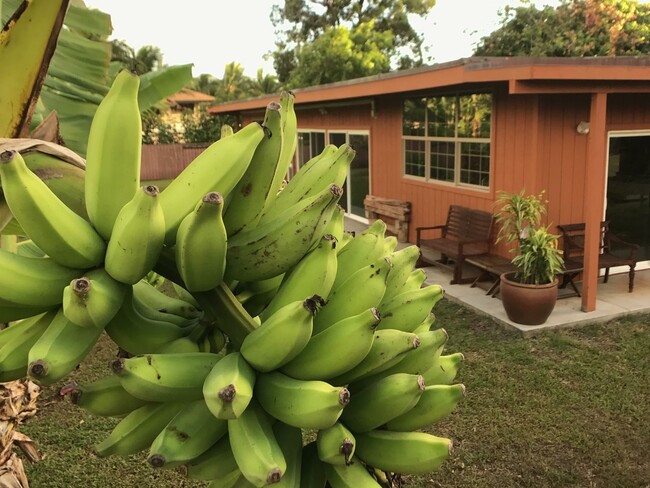 Building Photo - A Modernist Tropical Haven on Maui’s North...