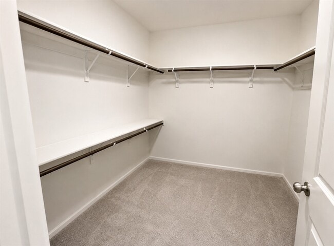 Building Photo - 20910 Zuccala Dr