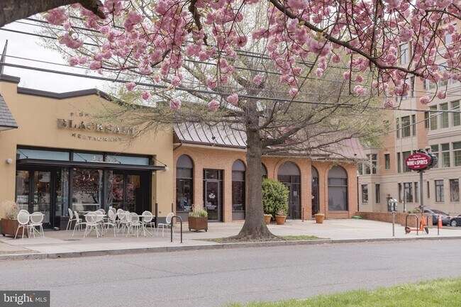 Building Photo - 5212 MacArthur Blvd NW