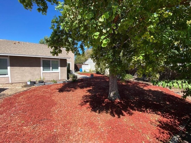 Building Photo - 4085 Bristlecone Way