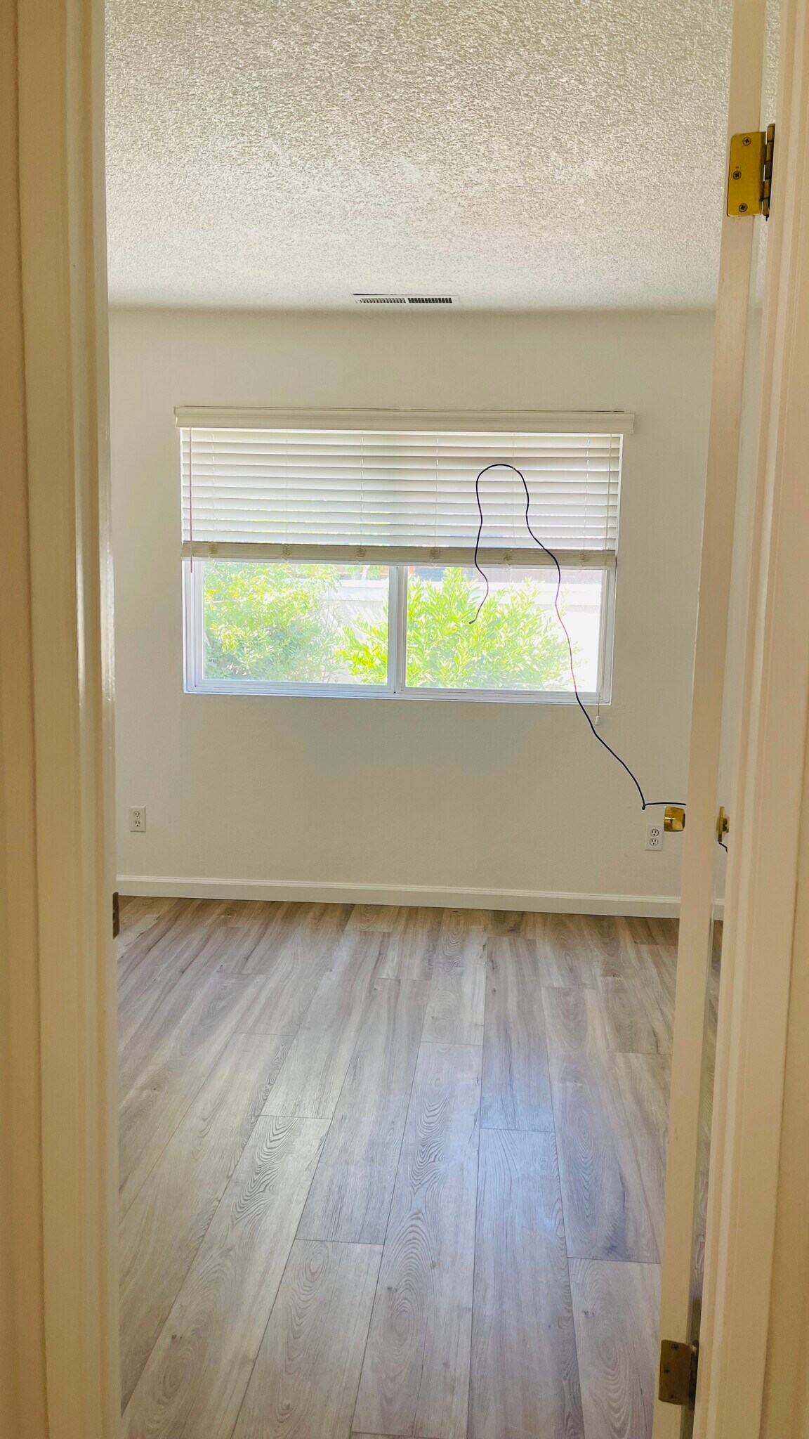 Building Photo - 126 Serra Ct