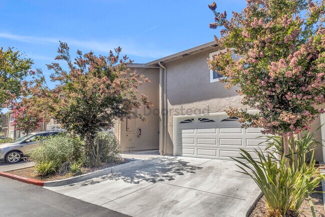 Building Photo - 1362 Casa Ct