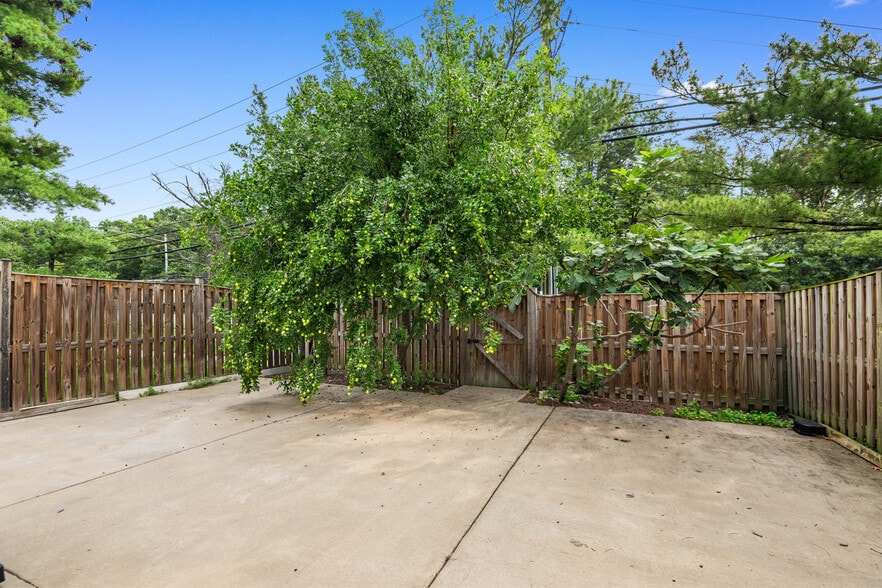 backyard - 8063 Dulciana Ct
