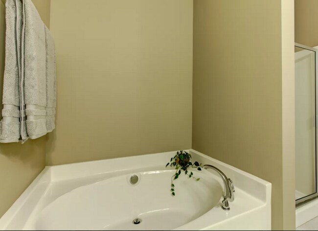 Building Photo - 2519 Asher View Ct