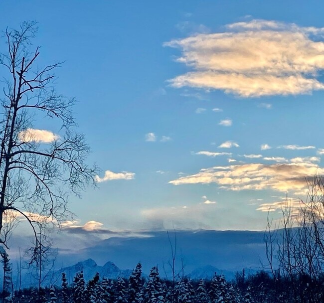 Building Photo - Fantastic, Single Family, Ranch Style home on an acre! Upgraded 3bed/2bath/2 car garage with all ...