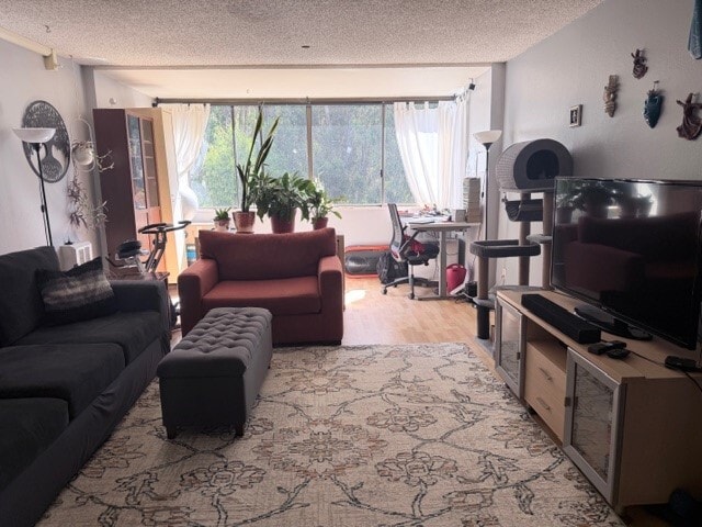 Building Photo - 555 Pierce St