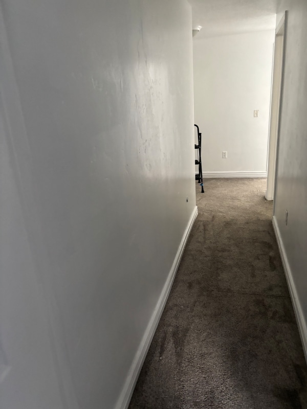 Building Photo - 4532 Greystock Cir