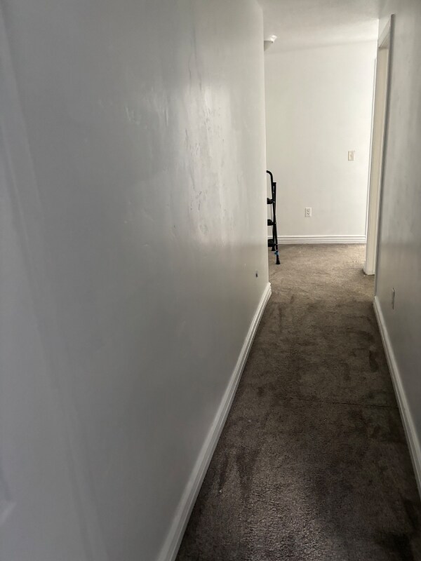 Building Photo - 4532 GreystockCr