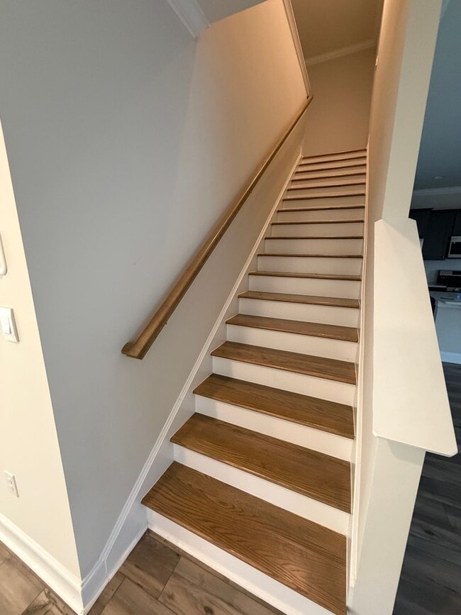 Building Photo - 113 Alva Ct