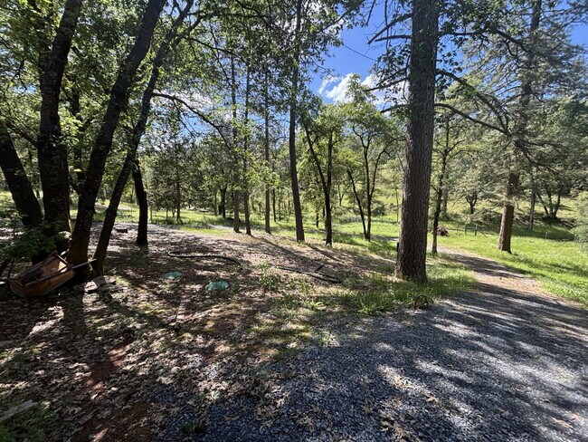 Building Photo - Spacious 2,048sf 3-bed home on acreage in Garden Valley!
