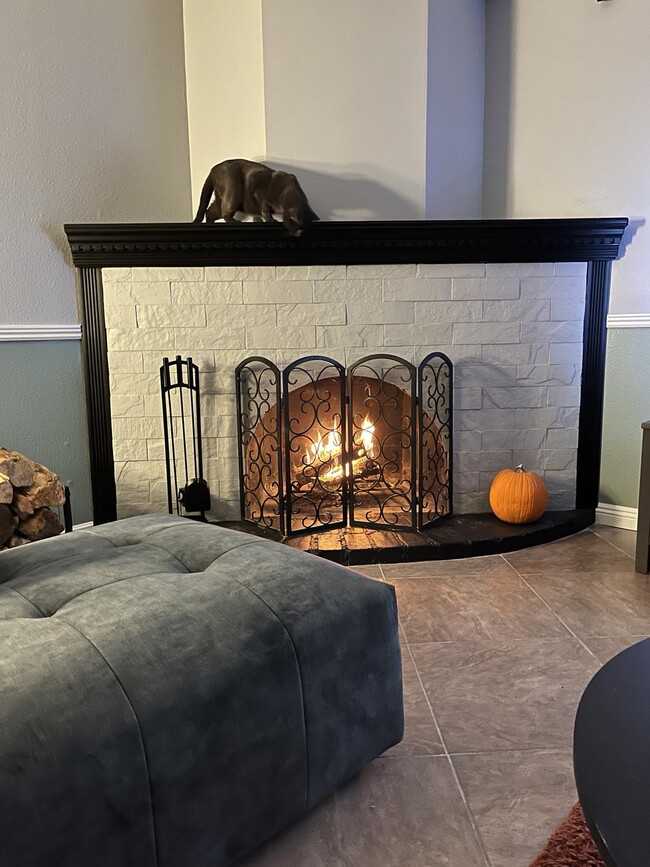 Cozy wood fireplace in living room - 9440 N 52nd Ln