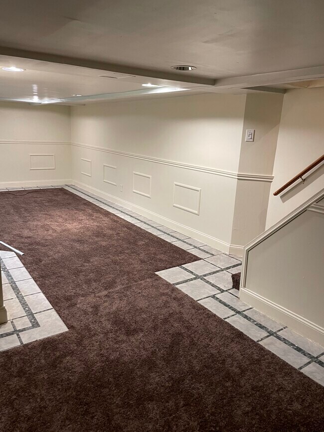 Basement - 924 Fulton St