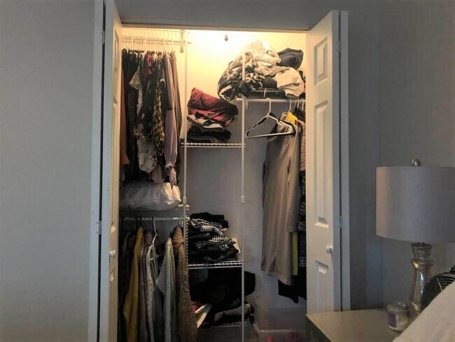 Bedroom1 Closet - 25 Beekman Dr