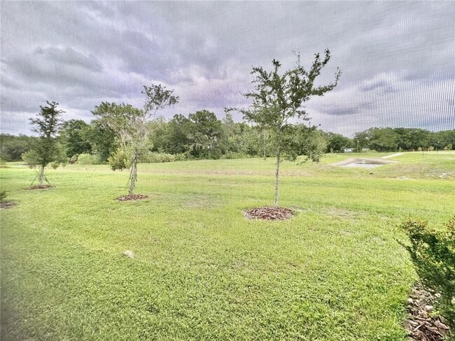 Building Photo - 1610 Colt Creek Pl