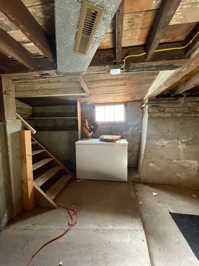 Basement(unfinished) Freezer not included - 529 S Gault St