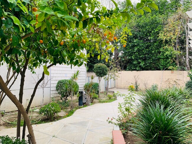 Building Photo - 5301 Balboa Blvd