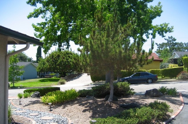 Front Yard - facing west - 1360 Tropical Ave