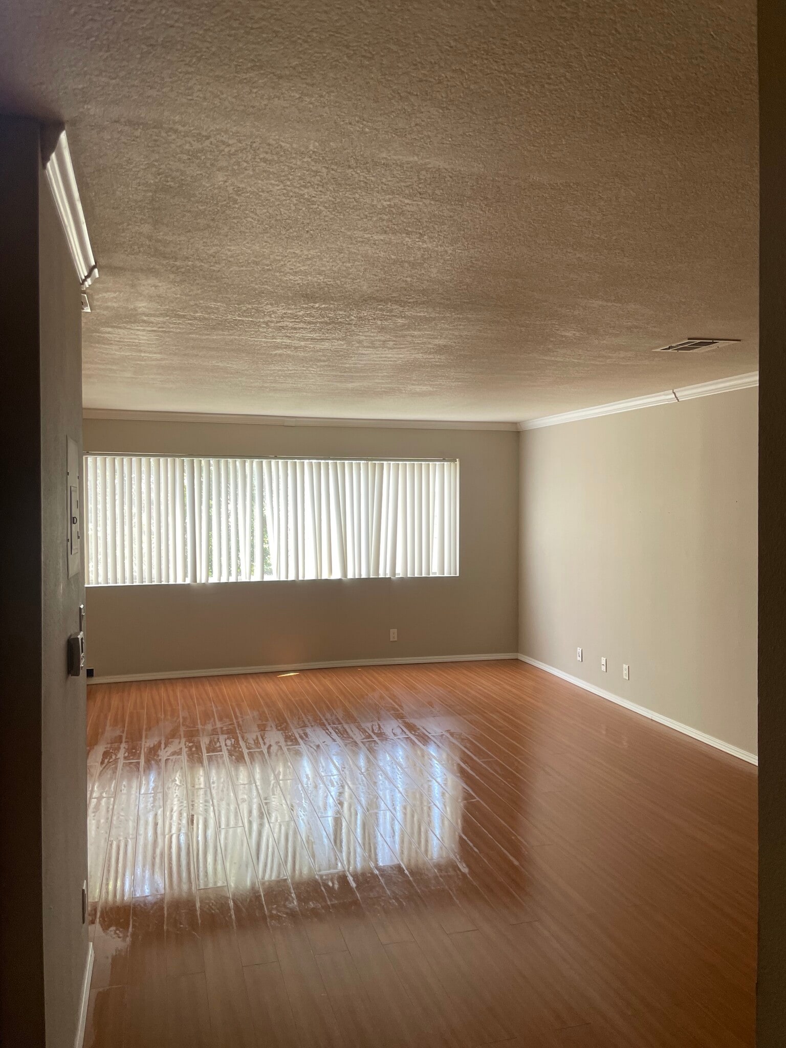 Living Room - 11252 Peach Grove St