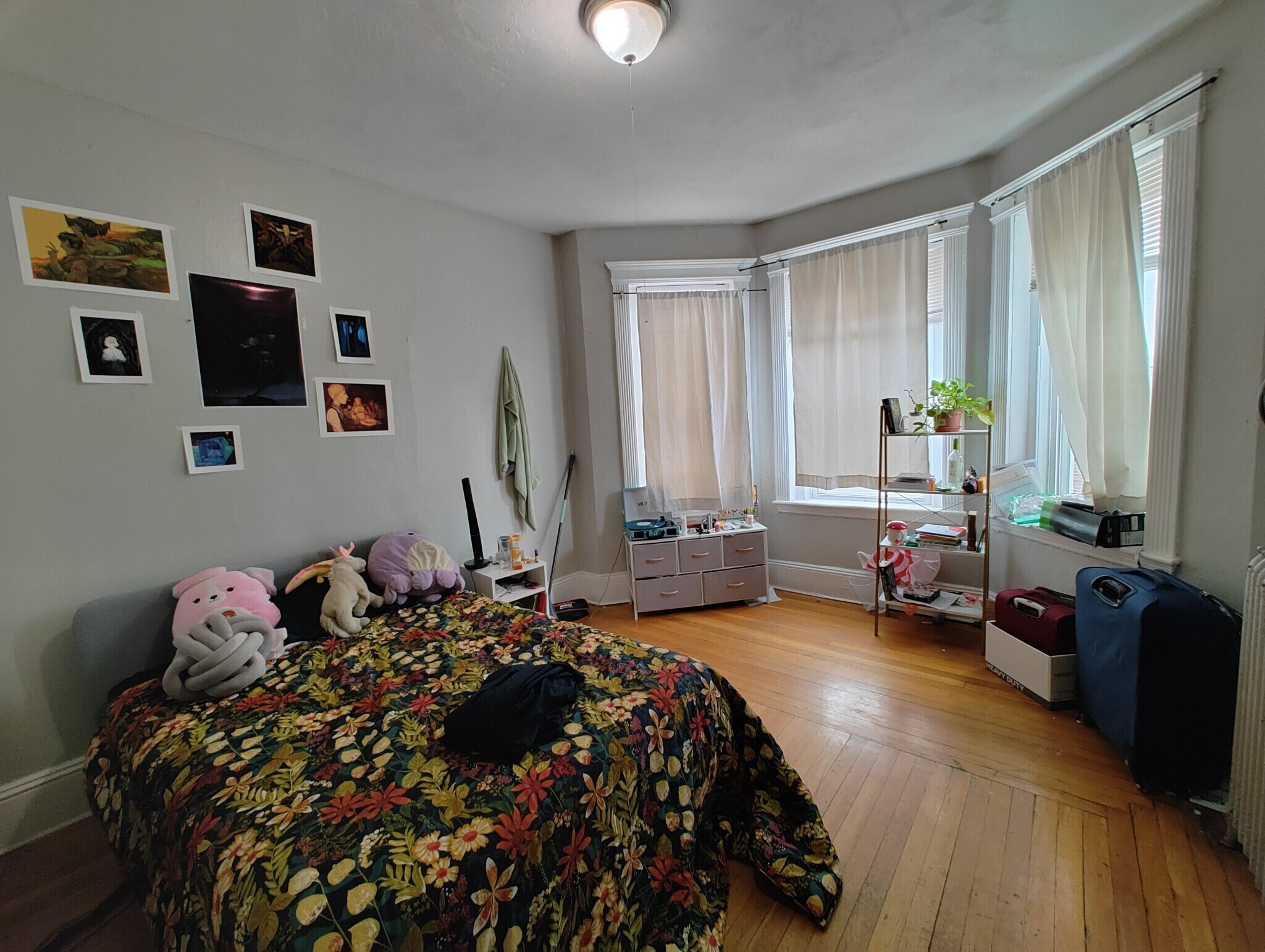 Building Photo - 463 Park Dr