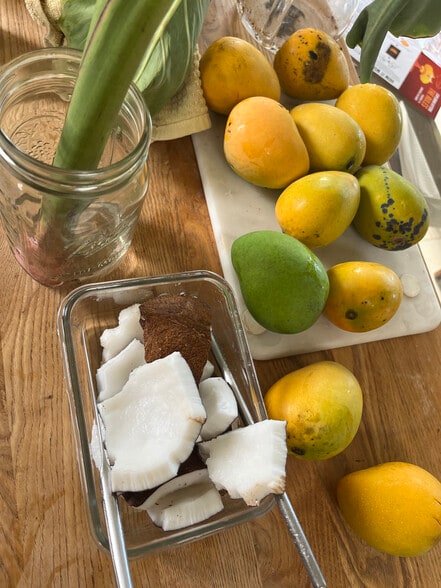 Property has fruits year round- coconut and mango tree - 1153 Kina St