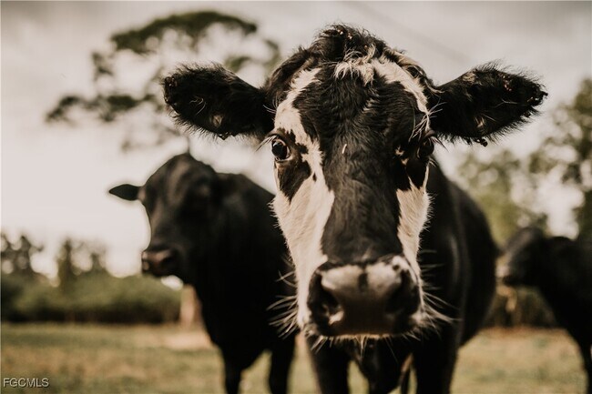 Building Photo - 19740 Gottarde Rd