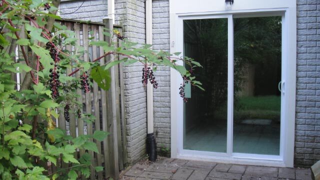 Building Photo - 13671 Cedar Creek Ln