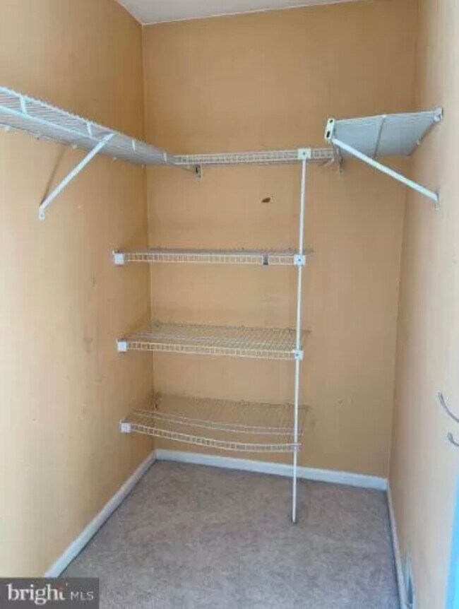 Building Photo - 15 Neville Ct