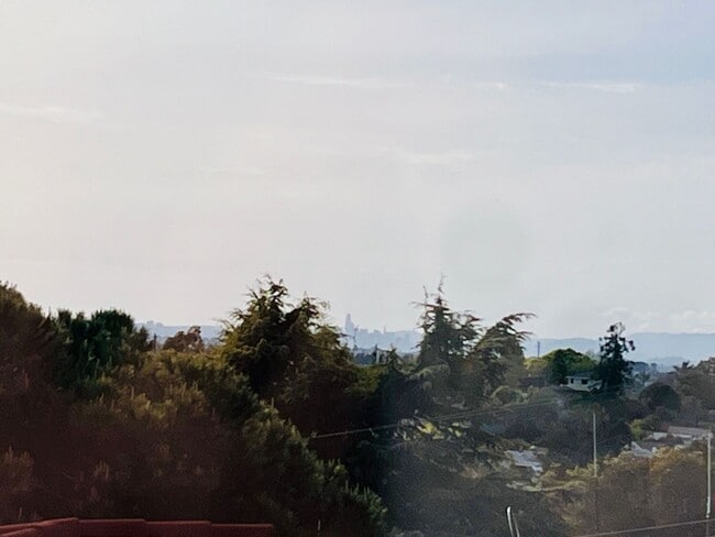 Building Photo - Newly Renovated 4 Bedroom Home with Views