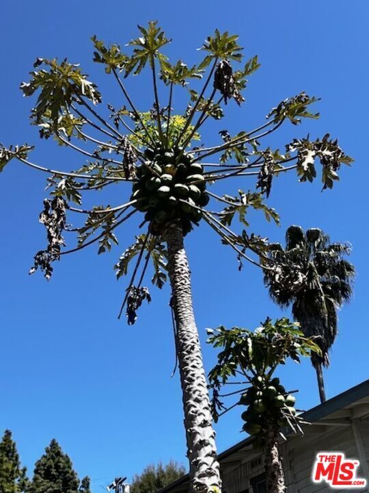 Building Photo - 5631 La Mirada Ave