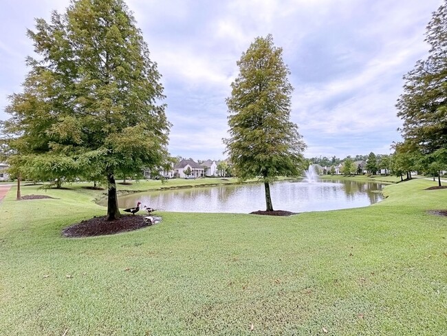 Building Photo - 4 Bedroom Home in The Preserve at Harveston