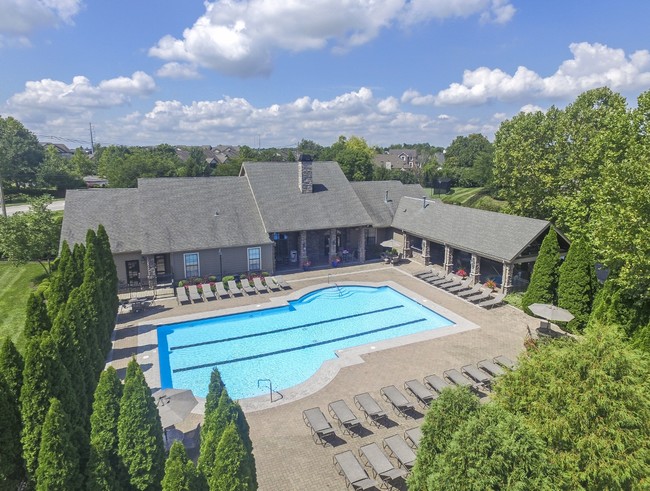 Building Photo - Terraces at Forest Springs