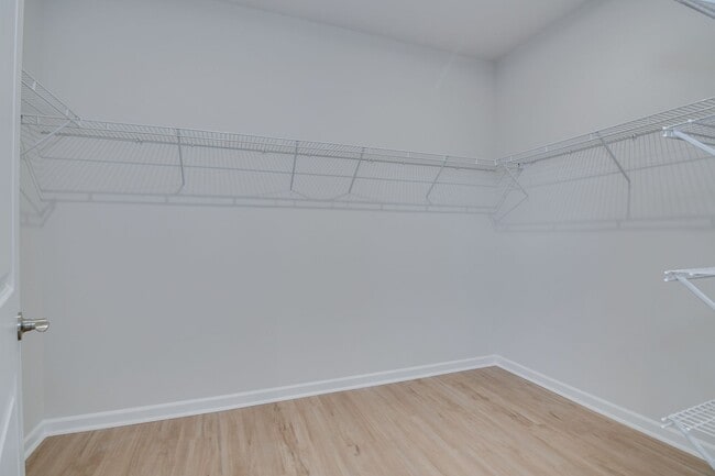 Building Photo - Stunning 4-Bedroom, 3-Bath New Construction Home with Master on Main and Upstairs Retreat