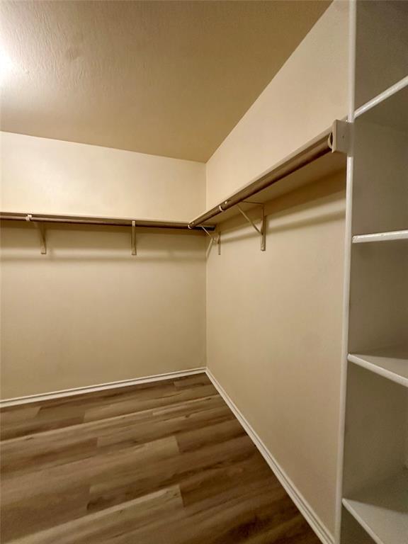 Building Photo - 12705 Paloma Blanca Way